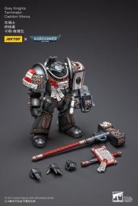 予約  JOYTOY  Warhammer series 1/18 Grey Knights Terminator Caddon Vibova  1/18 アクションフィギュア JT3228