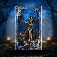 予約 光年/Light Year Studio 画江湖之不良人 耶律质舞 スタチュー 専用 展示ケース ZSH11122175K