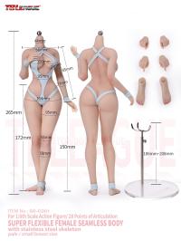 予約 TBLeague 1/6 Alluring Kitty Girl アクションフィギュア   素体あり 頭彫りなし SR-CD01 / SR-CD02 / SR-DD01 /SR-DD02