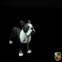 ACI TOYS Boston Terrier  1/6 フィギュア BR1531354D
