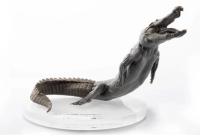Evolaboratory 1/8  鰐の解剖モデル 17cm スタチュー DX9462646E