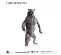 Evolaboratory 1/12 熊の解剖モデル 29cm スタチュー DX15488L