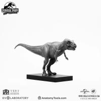 Evolaboratory 1/32  Male T-Rex 解剖モデル スタチュー DX54666K