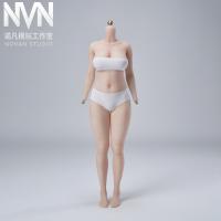 予約 NVN/NOVAN Studio 1/6 女性素体 アクションフィギュア N-1A