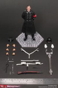 予約 DID WW2ドイツ軍 武装親衛隊 儀仗兵 アーロン  1/12  アクションフィギュア   TG80007
