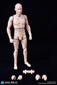 DID  1/6 All-New Advanced Body (Slim Ver.) 2.0 アクションフィギュア   OA60003