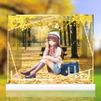 予約 HobbyChaton 秋の色1/6 専用 展示ケース ZSH375150C