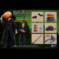 Star Ace Toys  Halloween Series  Hermione Granger   1/6  アクションフィギュア  HW0003