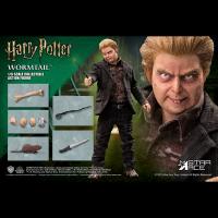 Star Ace Toys Peter Pettigrew 1/6  アクションフィギュア  SA0073