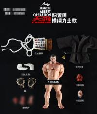 予約 Hey Hey Studio Arrest Operation 横綱力士&究極の天狗  スタチュー  DX339863P