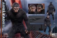 予約 Hellcat/地狱猫Studio Ape Leader 1/6 アクションフィギュア DYM202402A