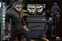 予約 Hellcat/地狱猫Studio Ape Leader 1/6 アクションフィギュア DYM202402B