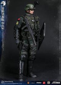 【DAMTOYS】78053 1/6 CHINESE PEOPLE'S ARMED POLICE 中国人民武装警察部隊特警部隊 雪豹突撃隊 中隊長 1/6フィギュア