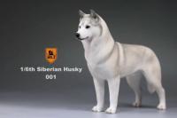 Mr.Z　1/6　シベリアンハスキー　ハスキー犬 6種 カラー選べます 動物 置物 フィギュア