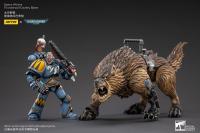  JOYTOY  Space Wolves Thunderwolf Cavalry Bjane 1/18  アクションフィギュア JT3105 