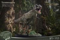 予約 Star Ace Toys    Wonders of the Wild   Tyrannosaurus Rex   T-Rex Statue & Fossil Replica  37cm   フィギュア   SA5015  Deluxe version