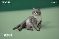 予約 JXK   Cat In The Palace  宮殿の猫   1/6  フィギュア  JXK153D