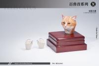 予約 Mostoys    Felis catus Head Figuer  百獣頭彫シリーズ第14弾家猫頭彫   1/6   MS2206C