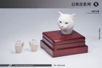 予約 Mostoys    Felis catus Head Figuer  百獣頭彫シリーズ第14弾家猫頭彫   1/6   MS2206B