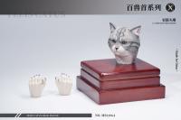 予約 Mostoys    Felis catus Head Figuer  百獣頭彫シリーズ第14弾家猫頭彫   1/6   MS2206A