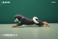 予約 JXK  Play Cute Shiba lnu 2.0 萌える柴犬2.0  1/6  フィギュア   JXK157C