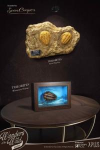 予約  STAR ACE Toys   Trilobites Miniature Frame &  Fossil   三葉虫   1/1  スタチュー     DELUXE Ver  SA5022