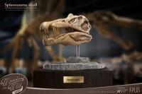 予約 STAR ACE Toys   Spinosaurus Head Skull Replica  32cm スタチュー SA5030