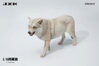 予約 JXK   Tibetan Wolf    チベットオオカミ   1/6   フィギュア  JXK166A1B1C1