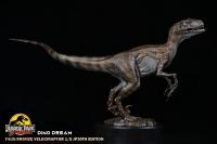 予約 DINO DREAM   Jurassic Park   FAUX-BRONZE  Velociraptor JP30TH   Velociraptor  1/5   スタチュー   DDJP103