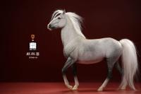 予約 Mr.Z X DING TOYS     天罡星玉麒麟-盧俊義    戦馬キリン獣   クラシック馬具   1/6  アクションフィギュア  DT001-H / DT001-S 