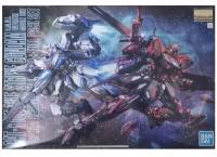 バンダイ 中国紅  RM リマスター フルパックセット MG 1/100 エール ストライク ガンダム  海外限定